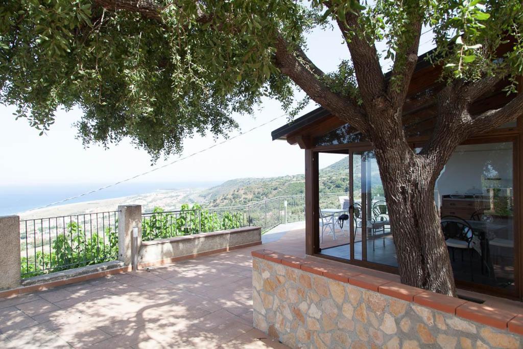 B&B Le Rose Del Tirreno Falerna Exteriör bild